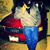 Geovanny Melendrez's profile image