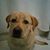 Brian F Mason's profile image