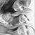 Jamie Lee Stickel's profile image