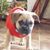 Cheryl Dusek's profile image