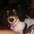 Betsy Graham's profile image