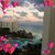 Cyndi Marty's profile image