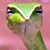 Shannon Egendoerfer's profile image
