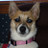 Pebbles's profile image