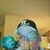 David M Espling's profile image