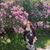 Inna Shklovskaya's profile image