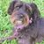 Kathie Choate's profile image