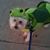 Ninet Campbell's profile image