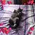 Holly Hawkes's profile image