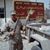 Stephen Desrosier's profile image