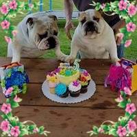 Gail Heaman's profile image