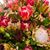 Helen Kitti Smith's profile image