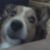 Shannon Van Daalen's profile image