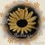 Jonie Cunningham Miller's profile image