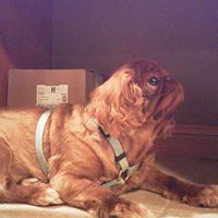 Mary Ann Bludgen's profile image