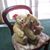 Vivienne Pierman's profile image