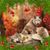 Barbara Broeniman's profile image
