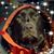 MikeandDiane Weigel's profile image