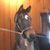 Kathryn Krische's profile image