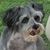 Loryann Swank's profile image