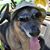 Crystal Pursell-Bonham's profile image