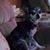 Nadine Thurman Jehl's profile image