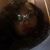 Brena Grant's profile image