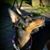 Marcia Kirby-Pendle's profile image