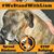 Maura Purtill's profile image