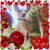 Sue Logue Johnson's profile image