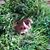 Ronnie Binaghi's profile image