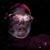 Mary Douglas's profile image