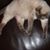 Jessica Swanger's profile image