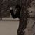 Heather Hall Swenson's profile image