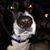 June Flickinger's profile image