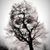 Lu Anne Cronin's profile image