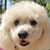 Maureen Sheffield's profile image