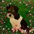 Bonnie Mayhew's profile image