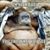Billy Siedlecki's profile image