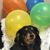 Jodie Theresa's profile image