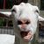 Kevin Mosher's profile image