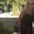 Fay Lawrence's profile image