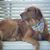 Kathy Tarantella-Hay's profile image