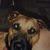 James Pretko's profile image