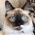 Vicki Danforth's profile image