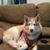 Dawn Theresa Jedlinsky's profile image