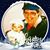 Don Bodenschatz's profile image