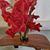 Paulette Prudhon's profile image