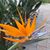 Angel Ventura Garcia's profile image
