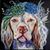 Pamela Miglio Mattar's profile image